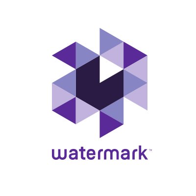 Watermark Insights